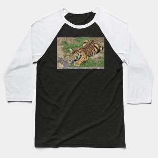 Tiger Cub Baseball T-Shirt